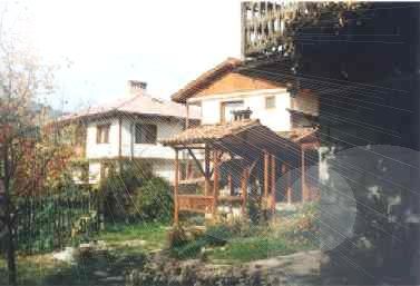 1106.jpg