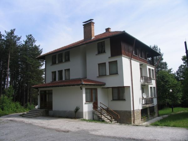 2264.jpg