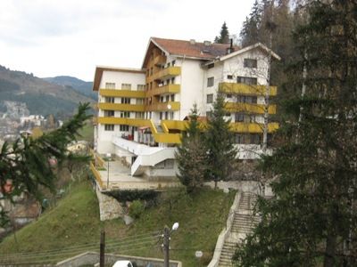 2454.jpg
