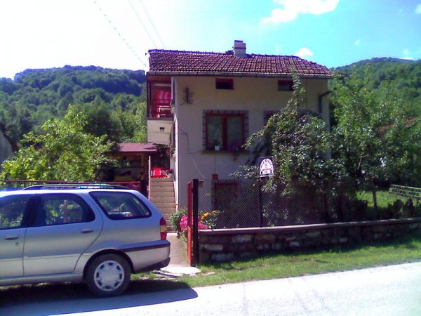 2502.jpg