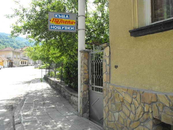 2516.jpg