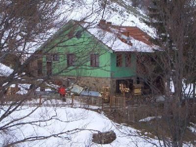 2536.jpg
