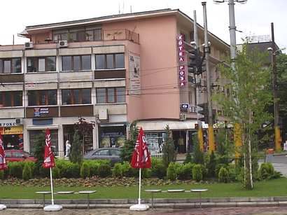 4594.jpg