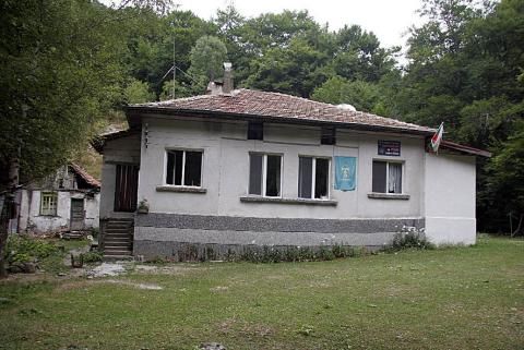 4725.jpg