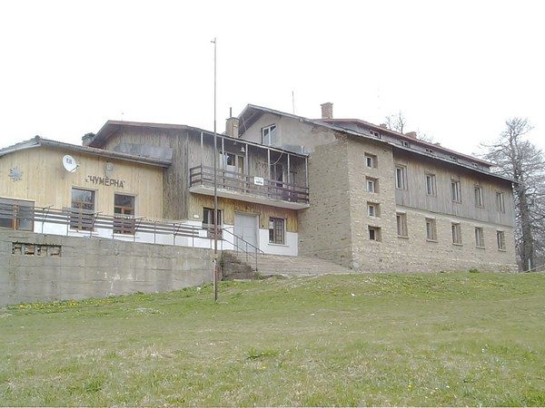 5263.jpg