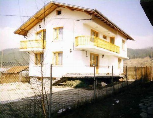 6976.jpg