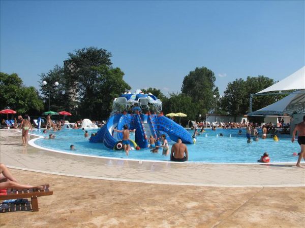 8649.jpg