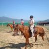Конна База Сивек - Велинград