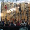 Стена за катерене Стиска ли ти - City Center Sofia - София